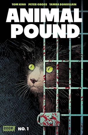 Animal Pound #1 by Tom King