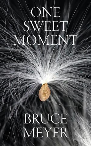 One Sweet Moment by Bruce Meyer
