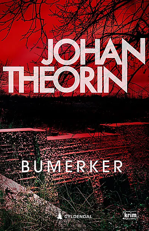 Bumerker by Johan Theorin