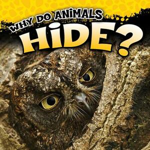 Why Do Animals Hide? by Robin Michal Koontz