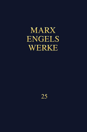 Das Kapital. Kritik der politischen Ökonomie. Buch III: Der Gesamtprozess der kapitalistischen Produktion by Karl Marx