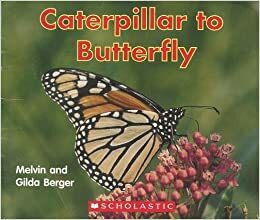 Caterpillar to Butterfly by Melvin A. Berger