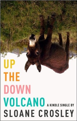 Up the Down Volcano by Sloane Crosley