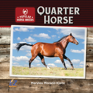 Quarter Horse by Marylou Morano Kjelle