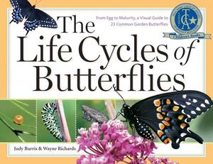 The Life Cycles of Butterflies: From Egg to Maturity, a Visual Guide to 23 Common Garden Butterflies by Judy Burris, Wayne Richards