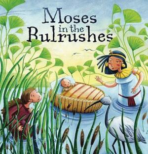 Moses in the Bulrushes by Cathy Jones