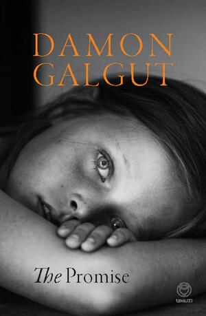 The Promise by Damon Galgut