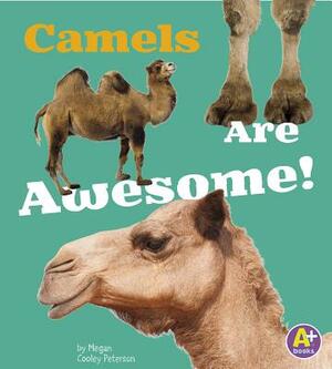 Camels Are Awesome! by Allan Morey