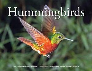 Hummingbirds by Ronald Orenstein
