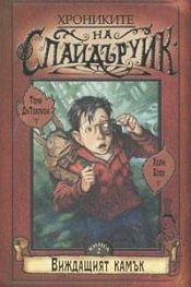 Виждащият камък by Tony DiTerlizzi, Holly Black