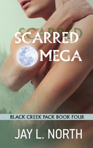 Scarred Omega by Jay L. North