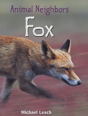 Fox by Michael Leach