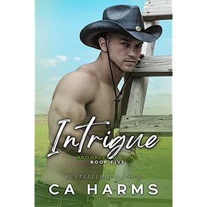 Intrigue (Brooklet Dreams Book 5) by C.A. Harms