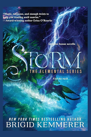 Storm by Brigid Kemmerer