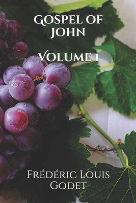 Gospel of John Volume 1 by Frederic Louis Godet
