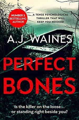 Perfect Bones by A.J. Waines