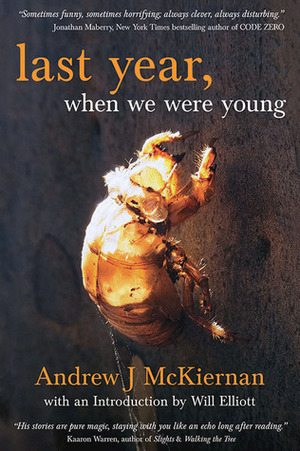 Last Year, When We Were Young by Andrew J. McKiernan