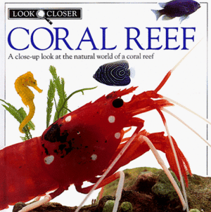 Coral Reef by Barbara Taylor