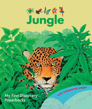 Jungle by 