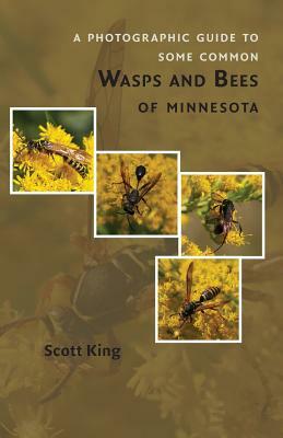 A Photographic Guide to Some Common Wasps and Bees of Minnesota by Scott King