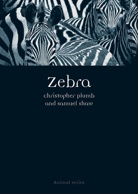 Zebra by Samuel Shaw, Christopher Plumb