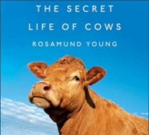 The Secret Life of Cows by Rosamund Young