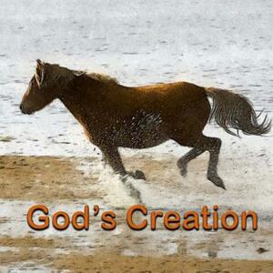 God's Creation by Susan Elliott