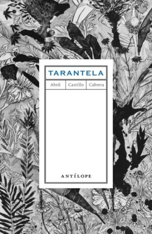 Tarantela by Abril Castillo Cabrera