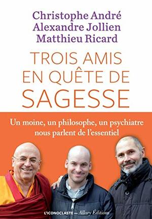Trois Amis En Quete de Sagesse by Christophe André, Alexandre Jollien, Matthieu Ricard