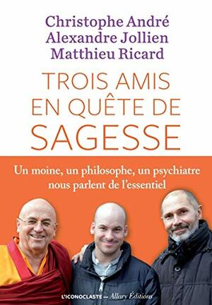 Trois Amis En Quete de Sagesse by Matthieu Ricard, Alexandre Jollien, Christophe André