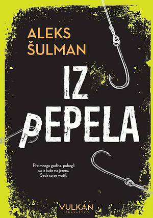 Iz pepela by Alex Schulman