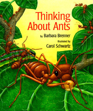 Thinking about Ants by Barbara Brenner