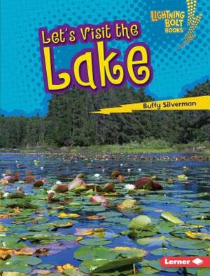 Let's Visit the Lake by Buffy Silverman