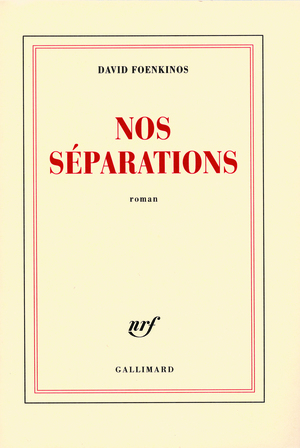 Nos séparations by David Foenkinos