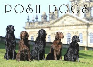 Posh Dogs by Pimpernel Press