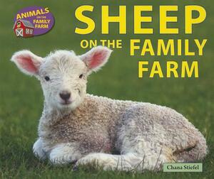 Sheep on the Family Farm by Chana Stiefel