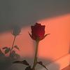 livixaa__'s profile picture