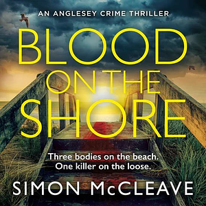 Blood on the Shore by Simon McCleave