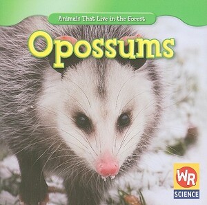 Opossums by JoAnn Early Macken