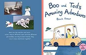 Boo and Ted's Amazing Adventures : Beach Rescue by John Dunn