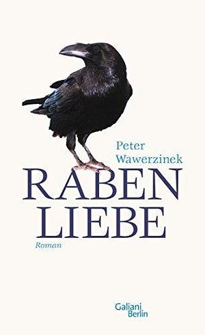 Rabenliebe: Eine Erschütterung by Peter Wawerzinek, Peter Wawerzinek