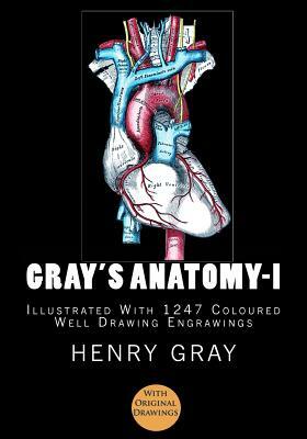 Gray's Anatomy: [Illustrated With 1247 Coloured Well Drawing Engrawings] by Murat Ukray, Henry Gray