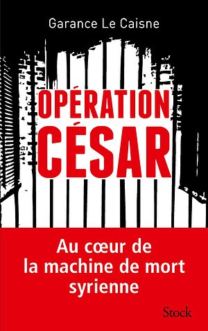 Operation Cesar by Garance Le Caisne