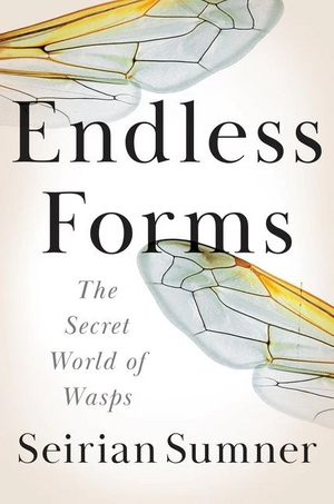 Endless Forms: The Secret World of Wasps by Seirian Sumner