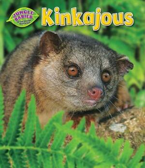 Kinkajous by Rachel Lynette