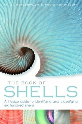 The Book of Shells by Fabio Moretzsohn, Jerry Harasewych