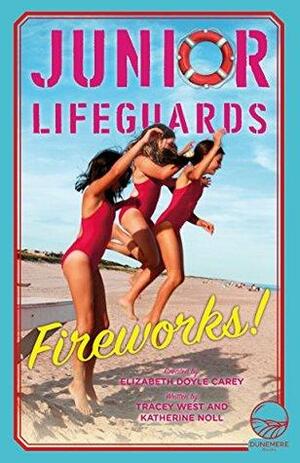 Fireworks!: Volume 4 by Elizabeth Carey