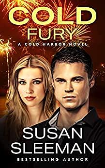 Cold Fury by Susan Sleeman