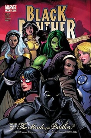 Black Panther (2005-2008) #14 by Scot Eaton, Reginald Hudlin, Klaus Janson