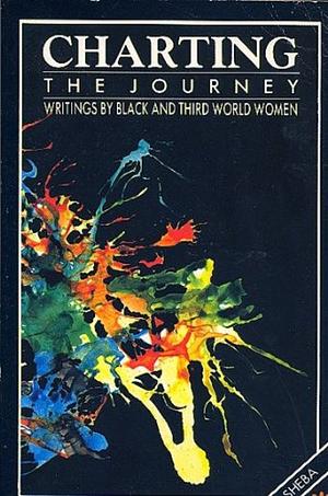 Charting the Journey: Writings by Black and Third World Women by Shabnam Grewal